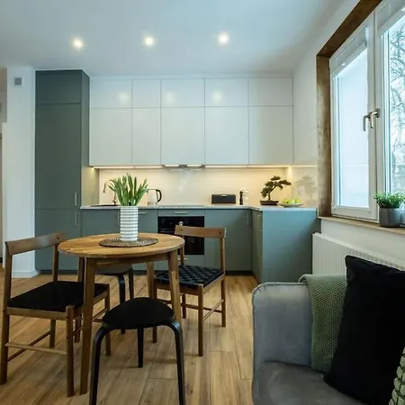 Nowy Z Widokiem Na Jezioro Apartament *